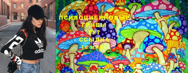 крисы Балахна