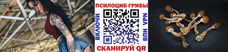 Псилоцибиновые грибы MAGIC MUSHROOMS  Афипский 